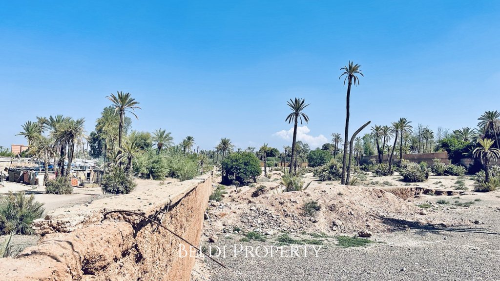 Projet Villa LA PALMERAIE + Terrain 1HA - 28